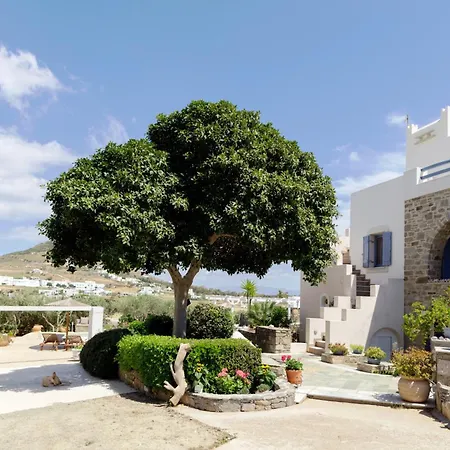 Callisto 1st And Ground Floor شقة